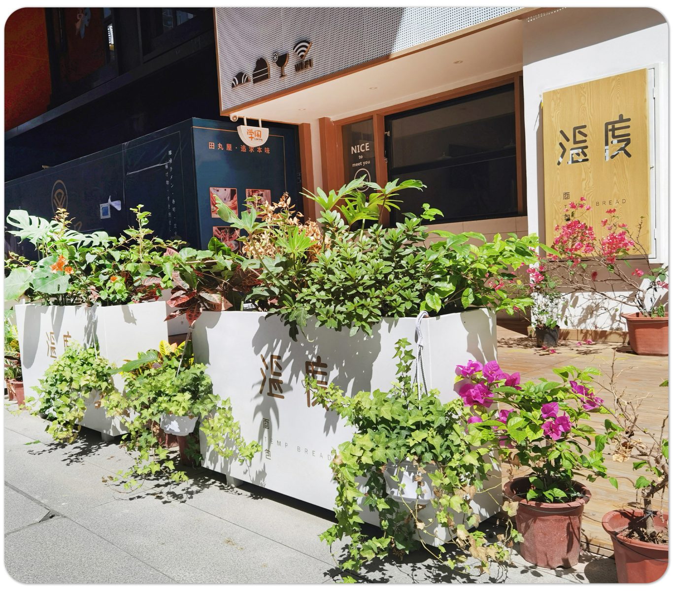 不锈钢长方形花箱金属铁艺户外景观花盆 不锈钢长方形花箱金属铁艺户外景观花盆