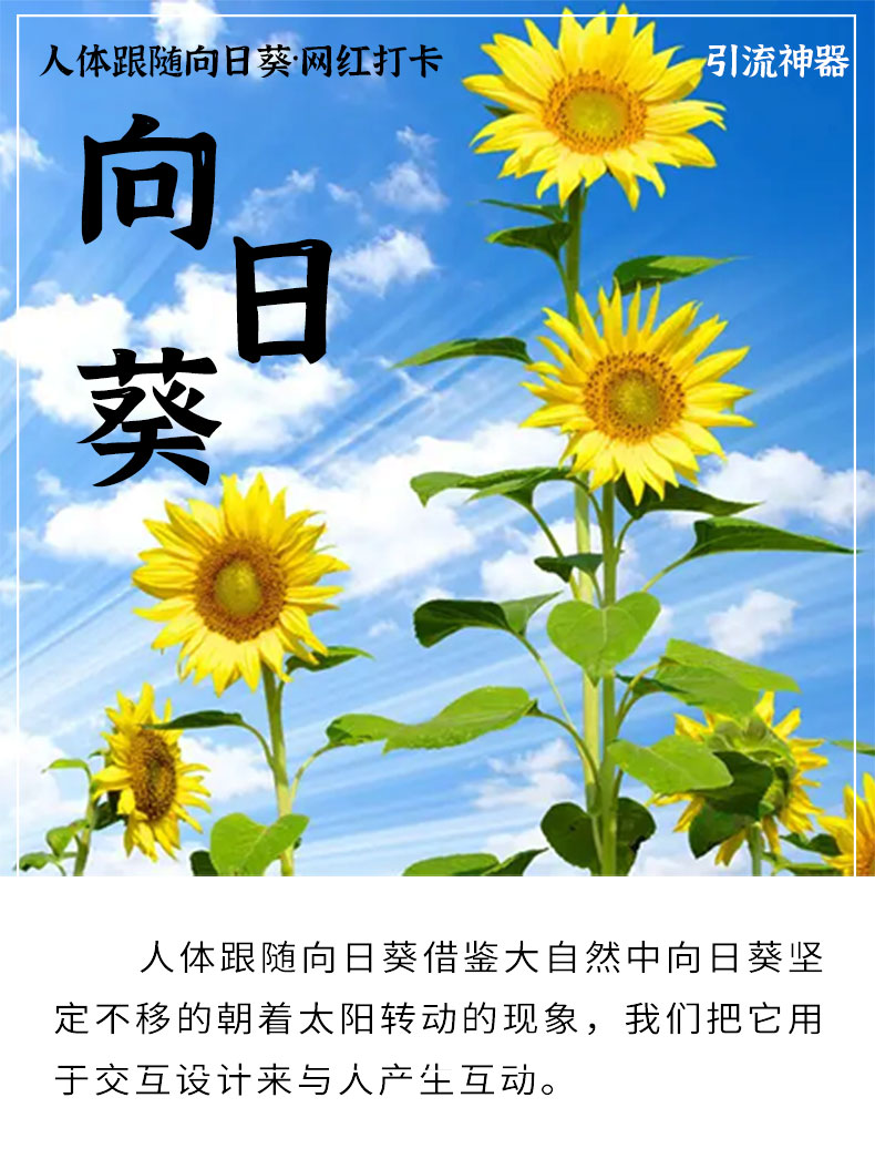 人体跟随向日葵网红互动美陈打卡设备 人体跟随向日葵网红互动美陈打卡设备